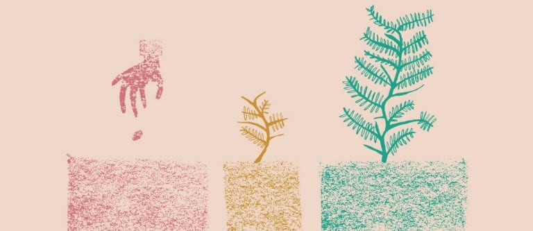 The potency of a seed