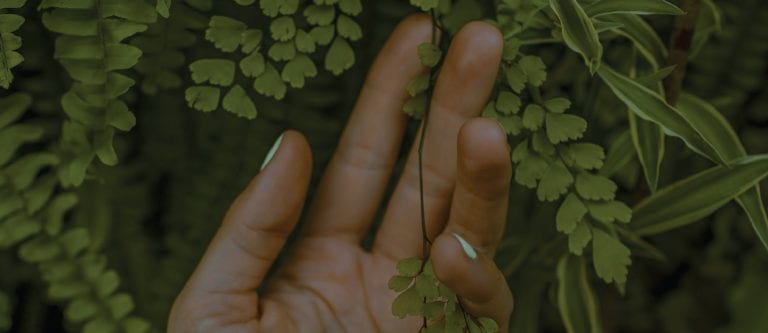 Gratitude is a companion to kindness