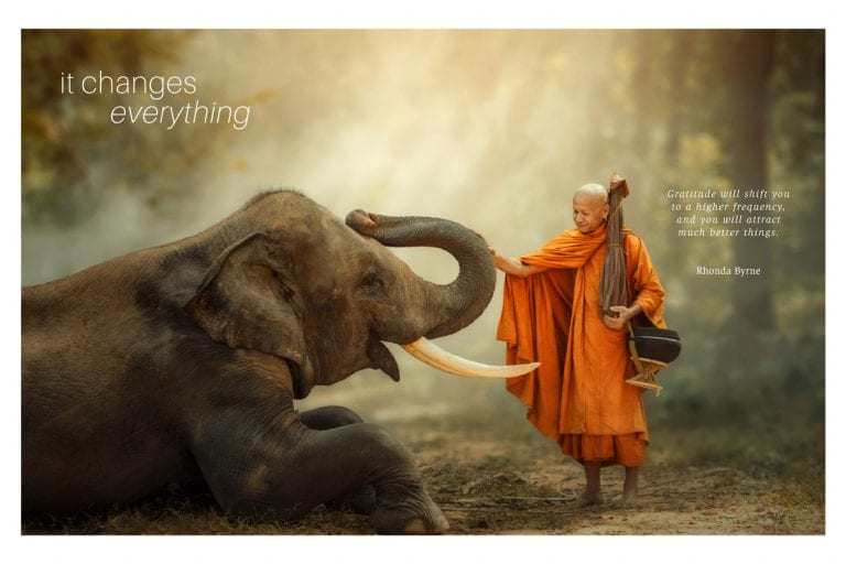 Gratitude
