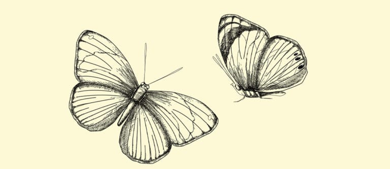 Patience: the spiritual path to personal growth