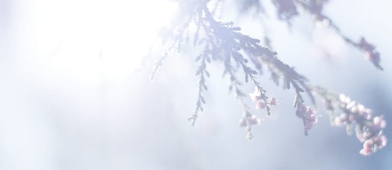 Arigatou: Beginning & ending with thanks