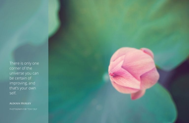 Improving Your Self