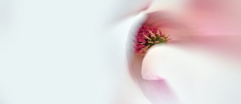 The quest for beauty