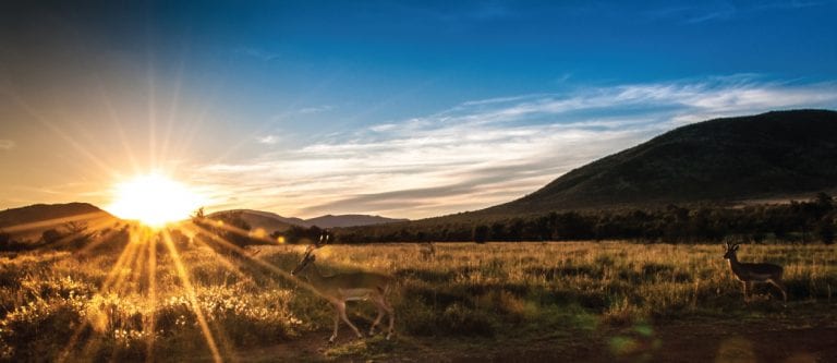 Spirit is the foundation for everything – part 1