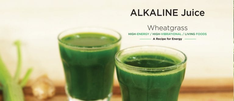 Wheatgrass juice