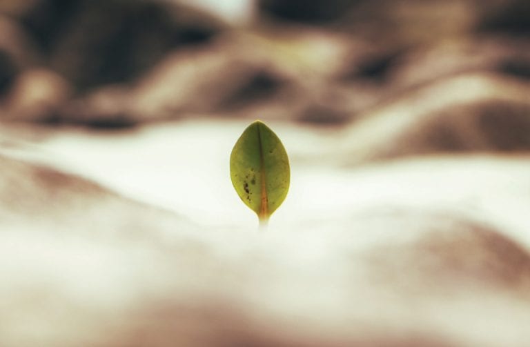 Choosing life – part 2