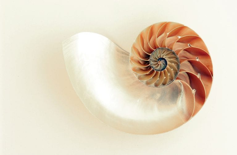 Evolution of consciousness