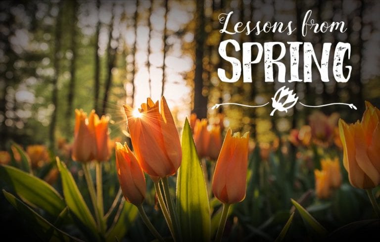 Lessons from spring