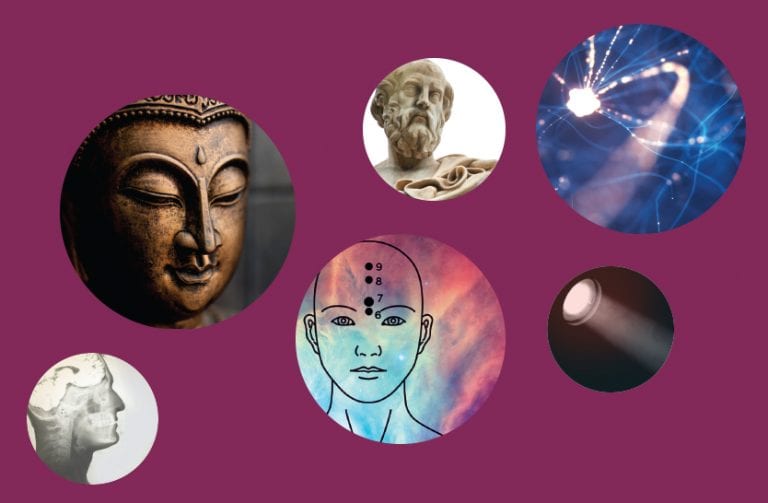 In search of consciousness