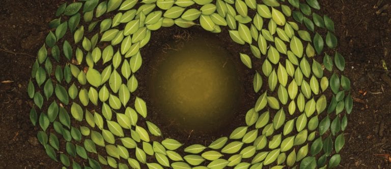 The spiritual journey