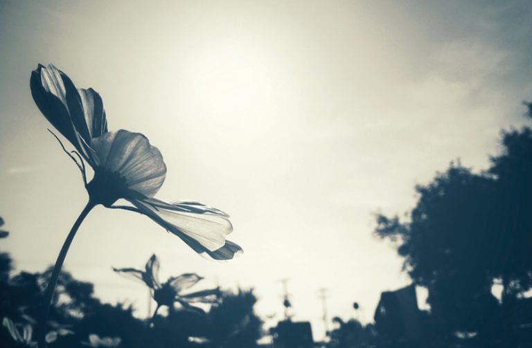 The stillness paradox