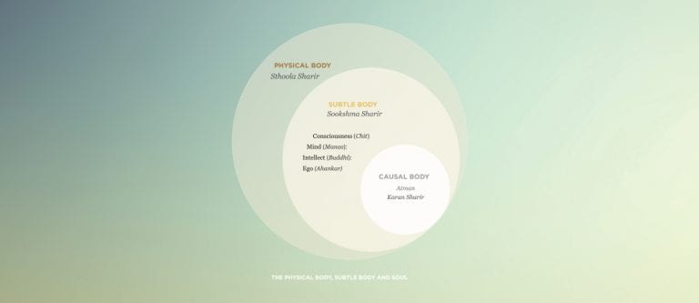 Our three bodies