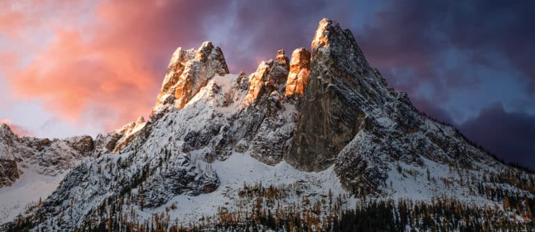 The thoughtfulness of landscapes