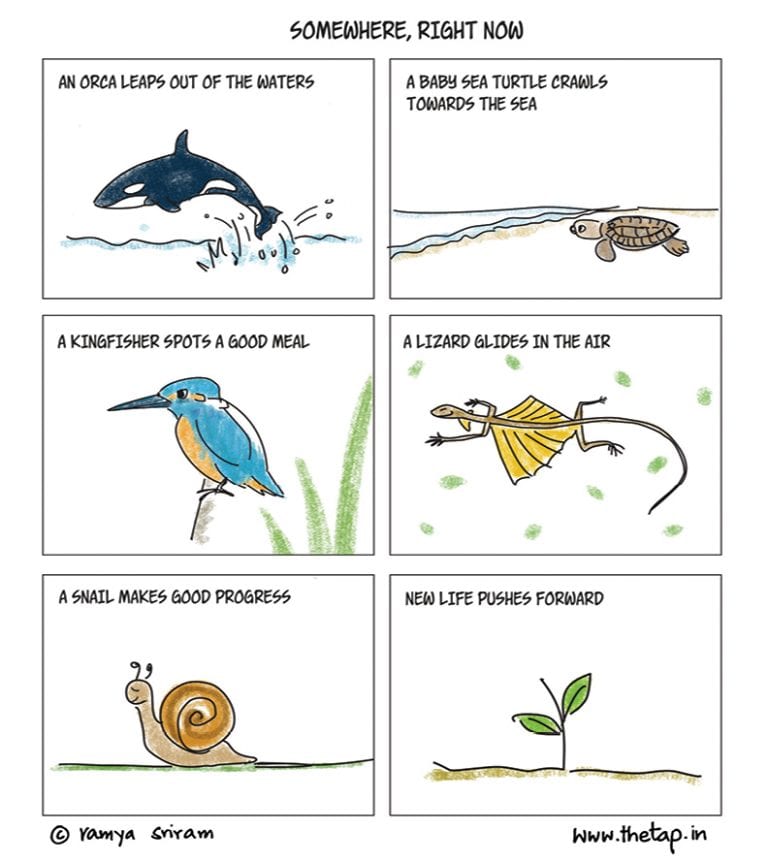 Somewhere, right now