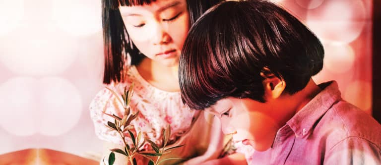 The art of removing and creating habits – part 1