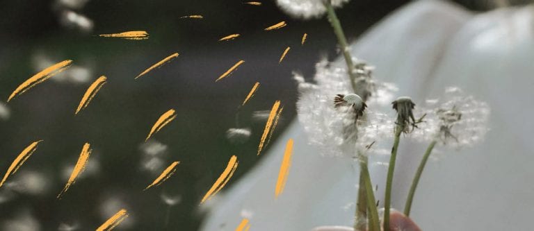 The magic of pausing